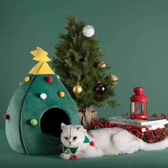 cabane pour chat sapinou chat noel et decoration rouge