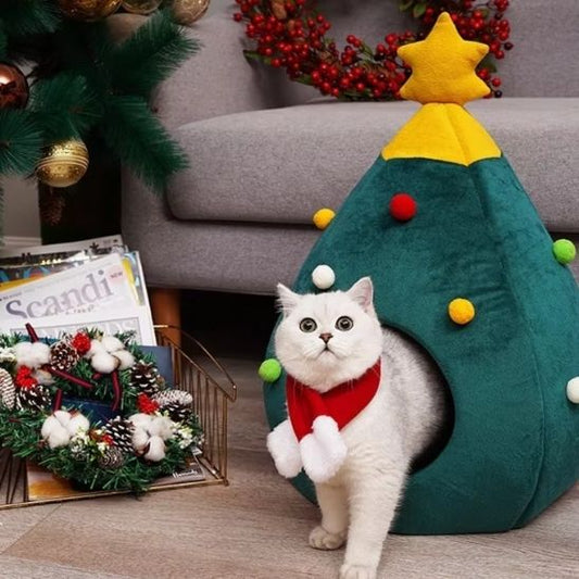 cabane pour chat sapinou interieur noel avec chat blanc