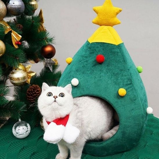 cabane pour chat sapinou sortie chat blanc decoration festive