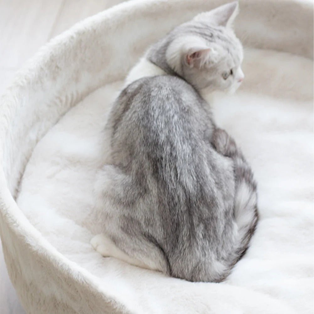 Canapé pour chat | Roudoudou™ - Miss - Tigri