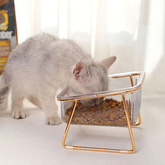 chat avec gamelle solo gamelle pour chat minigourmet