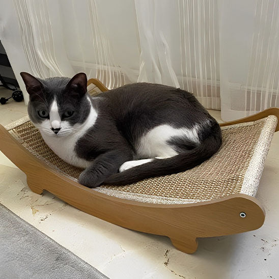 chat bicolore allonge griffoir chat griffano