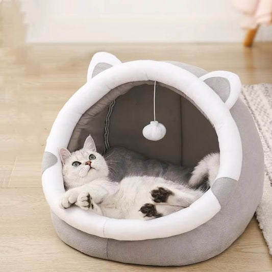 chat blanc dans niche pour chat felinova prelasse