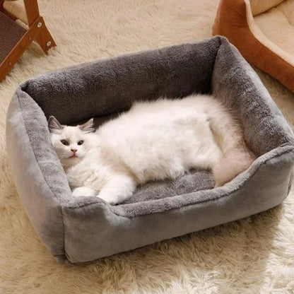 chat blanc dans panier chat minoudoux gris