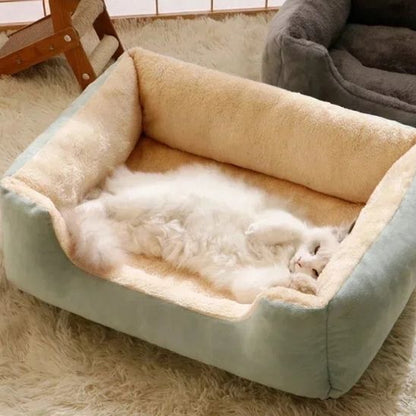 chat blanc dans panier chat minoudoux vert