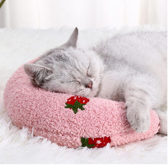 chat blanc endormi sur coussin pour chat coussinou rose