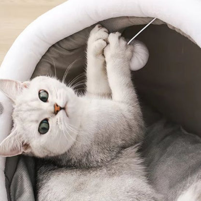 chat blanc qui joue dans niche pour chat felinova