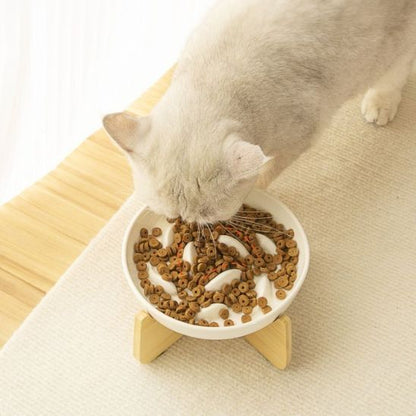 chat blanc qui mange dans gamelle anti glouton chat blanche