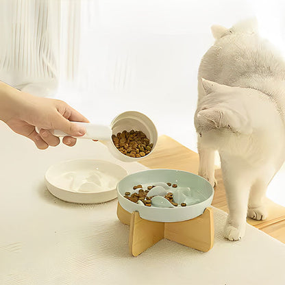 chat blanc qui mange dans gamelle anti glouton chat gluppy verte