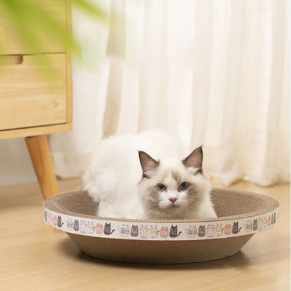 chat blanc regard haut griffoir a chat grattou