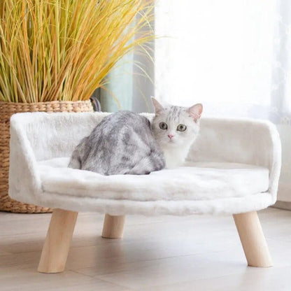 chat blanc sur canape pour chat roudoudou 