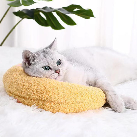 chat blanc sur coussin pour chat coussinou jaune