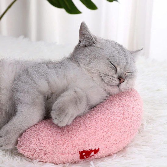 chat blanc sur coussin pour chat coussinou rose