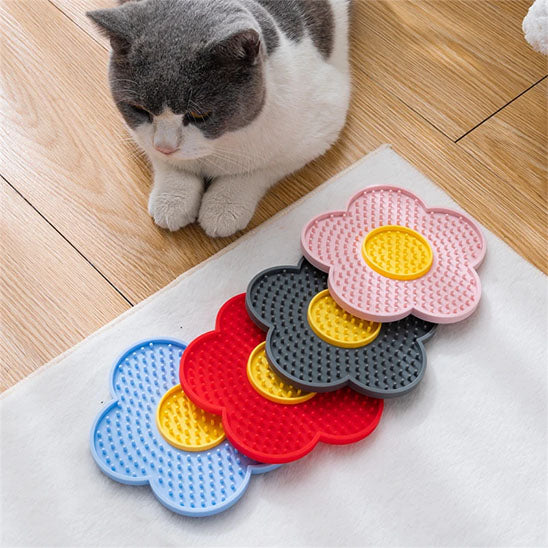 chat couleurs tapis lechage gourmifleur