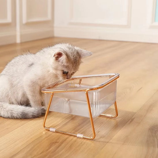 chat curieux gamelle transparente gamelle pour chat minigourmet