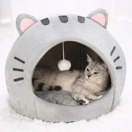 chat dans niche pour chat cocominou-douillet 