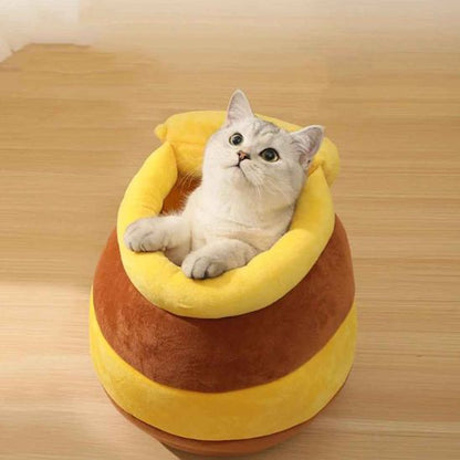 chat dans panier pour chat honeypuff debout