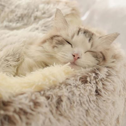chat endormi dans coussin pour chat cocoonix cafe