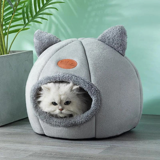 chat grincheux dans niche pour chat nidouillet