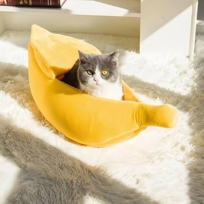 chat gris blanc dans panier pour chat banapouf