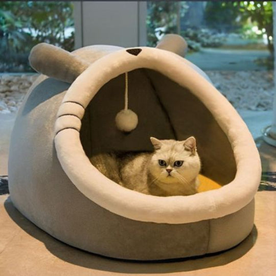 chat gris dans niche pour chat cozycat mister bunny
