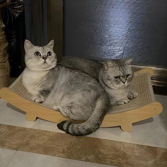 chat gris frotte griffoir chat griffano
