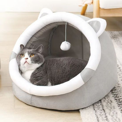 chat gris repose dans niche pour chat felinova