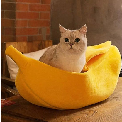 chat instale dans panier pour chat banapouf