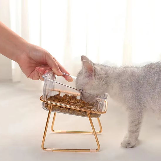 chat mange gamelle pied or gamelle pour chat minigourmet