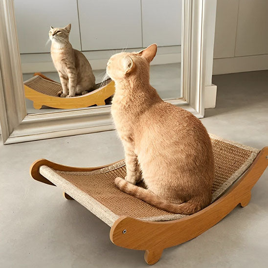 chat miroir reflet griffoir chat griffano