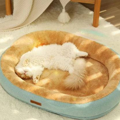 chat prelasse dans panier pour chat purrcocoon vert