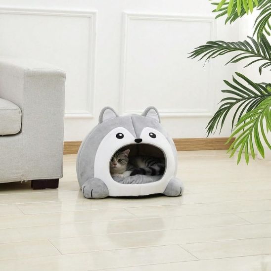 chat raye cache dans niche pour chat lupichat
