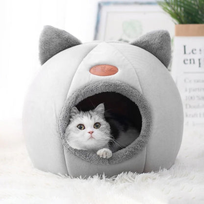 chat raye dans niche pour chat nidouillet