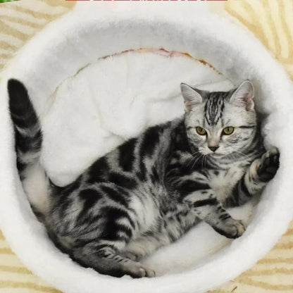 chat raye dans panier pour chat minouki ouvert