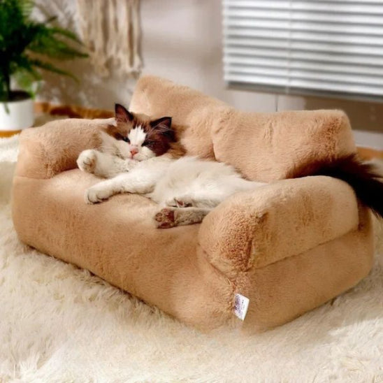 chat relaxe canape pour chat mewsofa