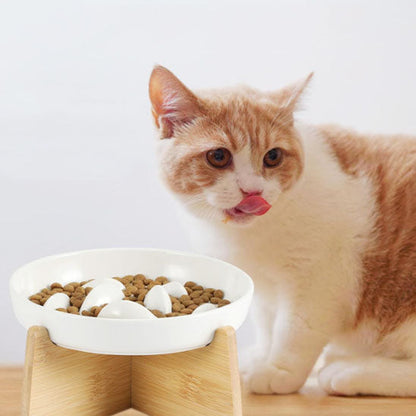 chat roux devant gamelle anti glouton chat gluppy