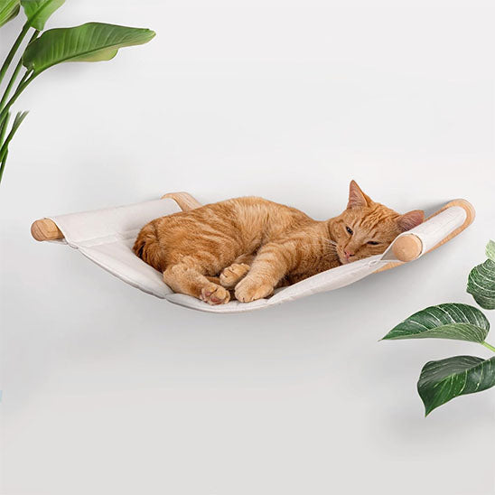 chat roux sieste hamac pour chat planchat