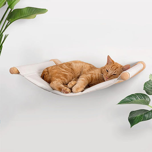 chat roux sieste hamac pour chat planchat