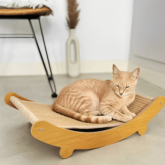 chat sable detendu griffoir chat griffano