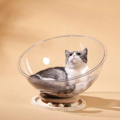 chat tigre dans panier chat cosmocat