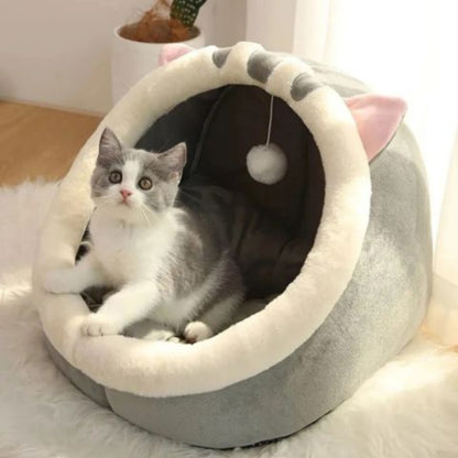 chaton dans niche pour chat cozycat chat