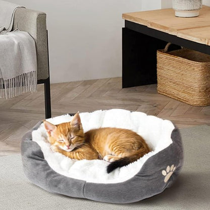 chaton endormi dans panier chat chamalo gris