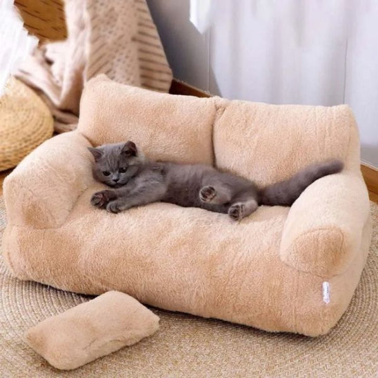 chaton heureux canape pour chat mewsofa