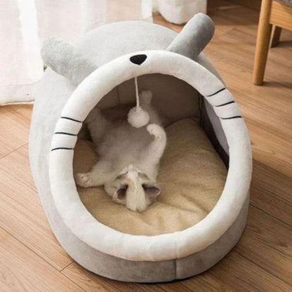 chaton qui joue dans niche pour chat cozycat mister bunny