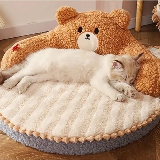 coussin chat doudou ours beige chaton endormi