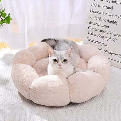 Chat allonge dans un coussin pour chat douceurfeline beige, ultra doux et rassurant