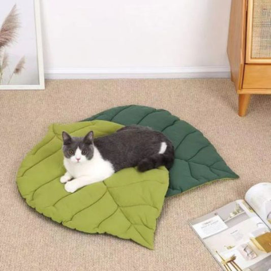 coussin pour chat leafy double vert chat