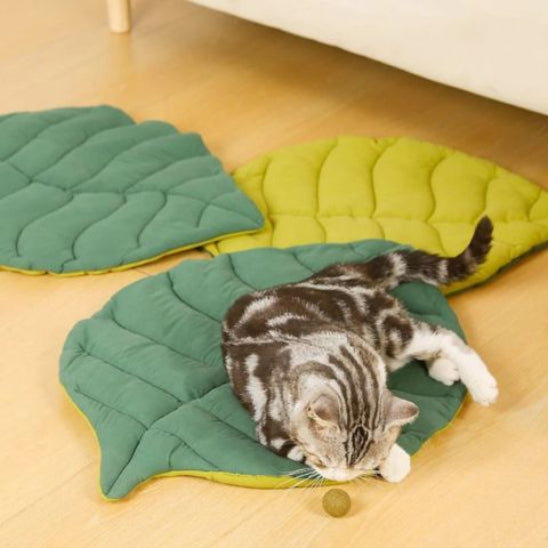 coussin pour chat leafy jeu