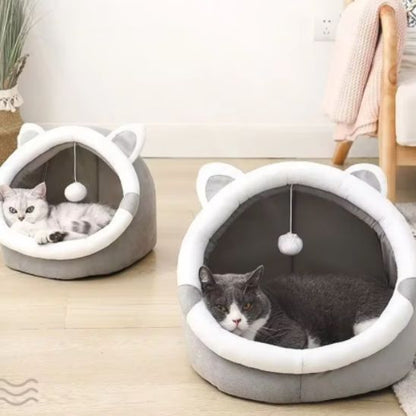 deux chats dans niche pour chat felinova