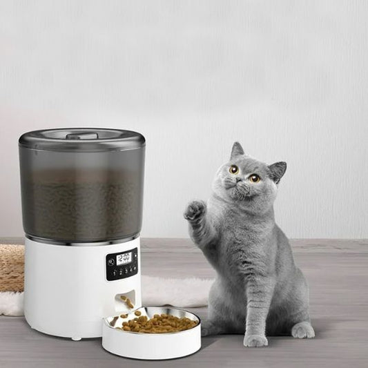 Distributeur automatique croquettes chat | Gourméo™ - Miss - Tigri